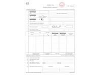Jízdní list - kyvadlo